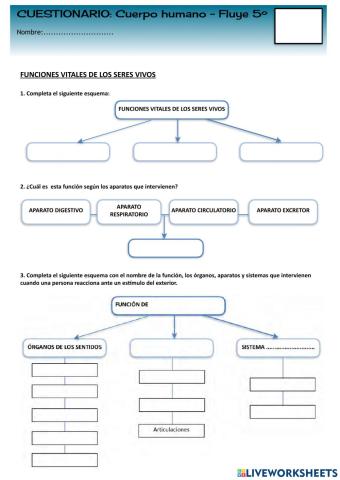 CUESTIONARIO PROYECTO1