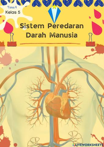 Sistem Peredaran Darah Manusia0