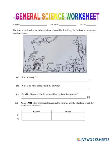 Endangered species Bahamas