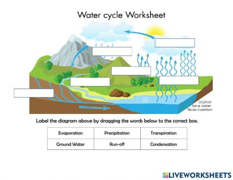 Water cycle