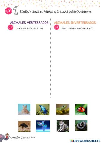 Animales vertebrados