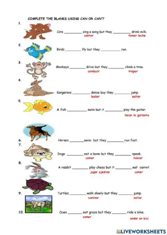 Complete the sentences with CAN or CAN'T