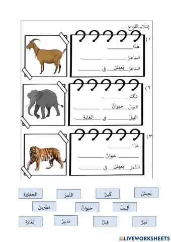 رفقا بالحيوانات