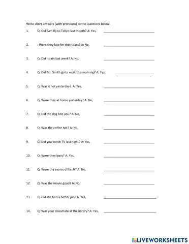 Yes-no questions in Past