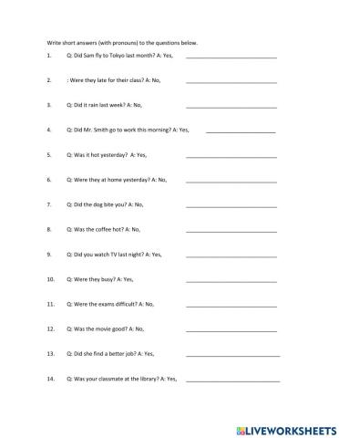 Yes-no questions in Past