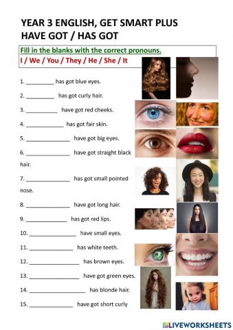 Year 3 Have got has got