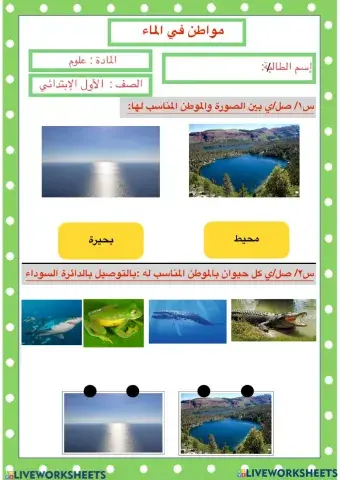 مواطن في الماء