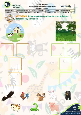 Animales domesticos y silvestres