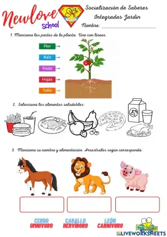 Socialización de saberes