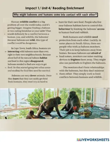 Unit 4- Reading Enrichment