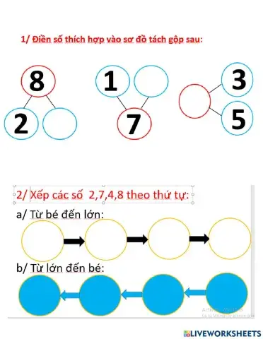 Bài ôn tập số 8