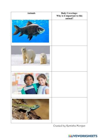 Animals and Their Body Coverings