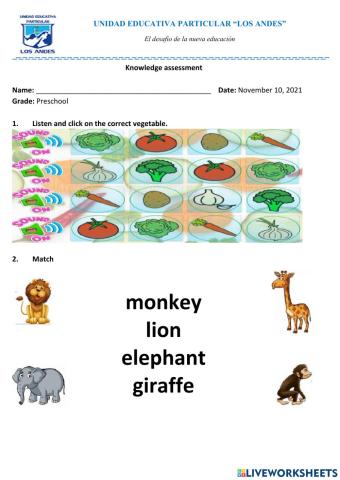 Knowledge assessment