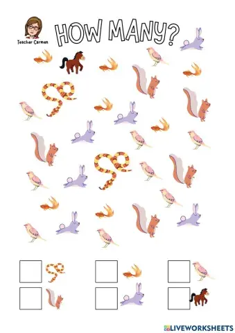 How many animals can you see?