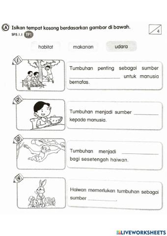 Kepentingan dan tumbesaran tumbuh-tumbuhan.