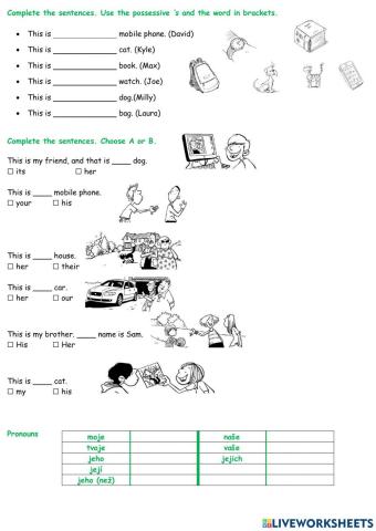 Possessive adjectives