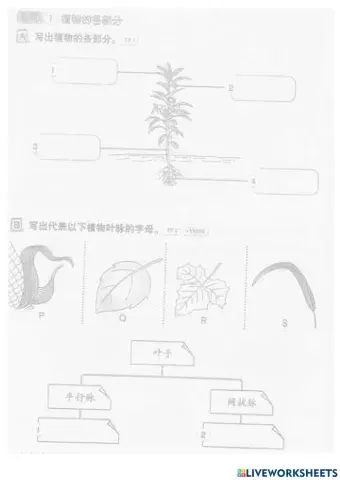 一年级科学练习 5 -6页
