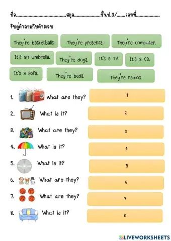 What is it - what are they