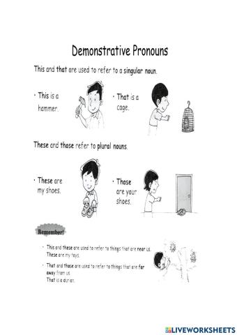 Demonstrative  Pronouns