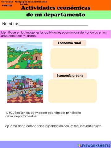 Actividades economicas