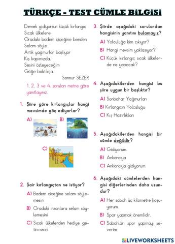 Cümle Bilgisi - Test
