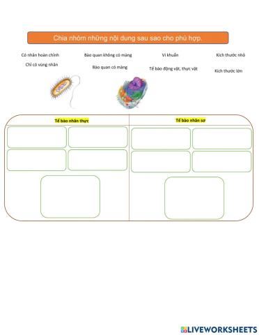 Tế bào nhân sơ và tế bào nhân thực