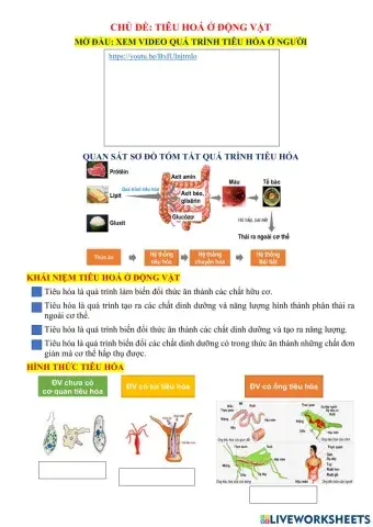 Chủ đề: Tiêu hóa ở động vật