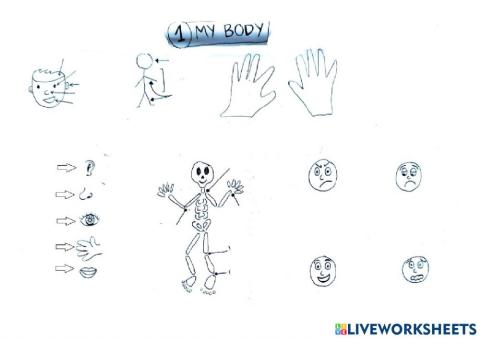 Partes del Cuerpo y Sentidos