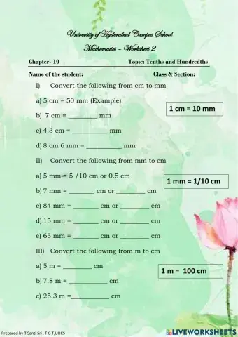 Tenths and Hundredths