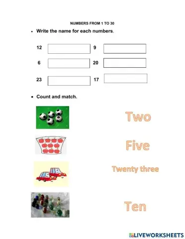 Number from 1 to 30