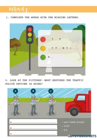 Traffic Police Officer