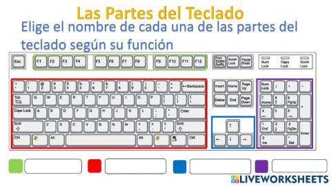Partes del teclado