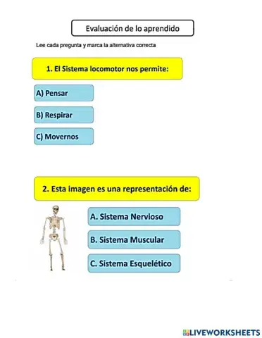 Sistema locomotor