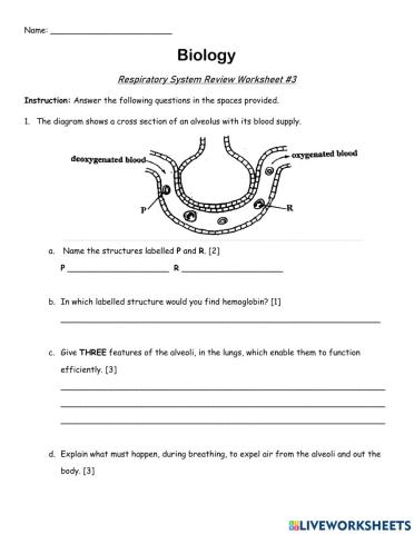 Gas Exchange