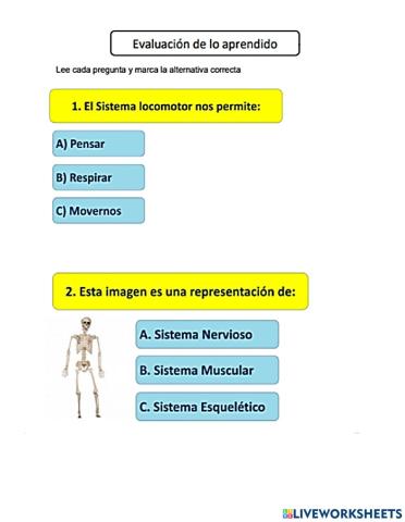 Sistema locomotor