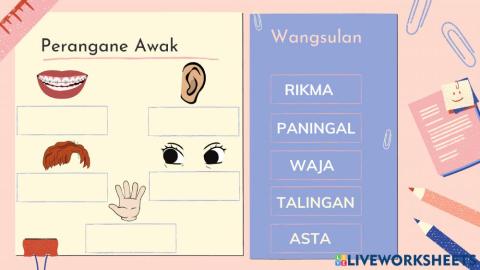 Kuis Bahasa Jawa kelas 1