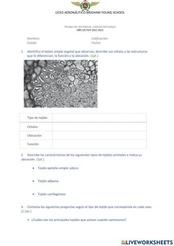 Prueba del 1er parcial