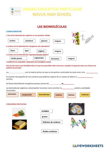 Biomoleculas