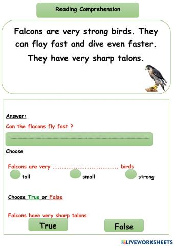 Reading Comprehension