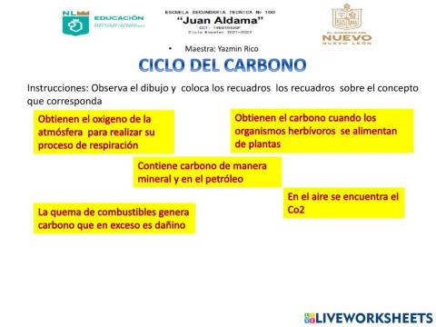 Ciclo del carbono