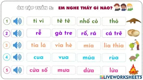 Ôn tập nghe tuần 5