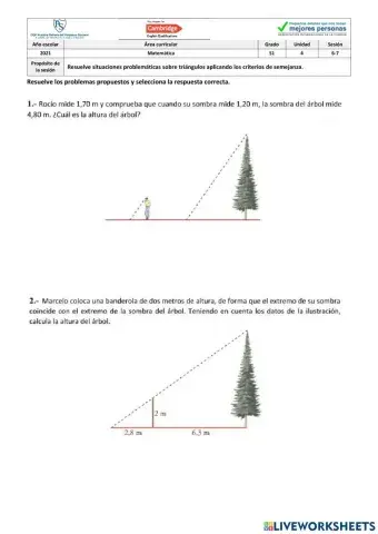 Semejanza de triángulos