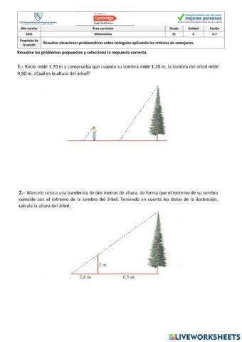 Semejanza de triángulos