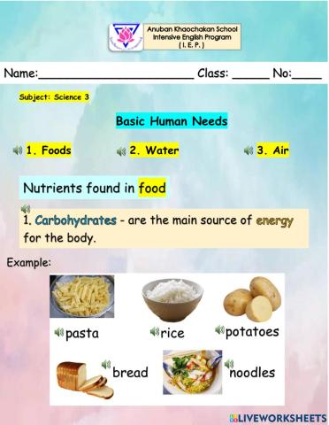 Human needs-  food nutrient classes