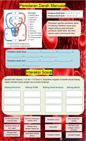 Peredaran Darah dan Interaksi Sosial
