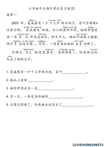 六年级中文期中考试复习题(2)