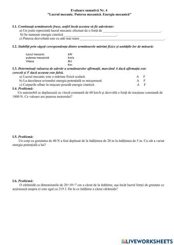 Evaluare sumativă nr. 4