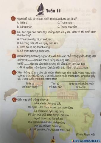 Bài tập Tiếng Việt tuần 11