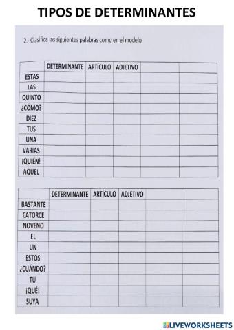 Tipos de determinantes