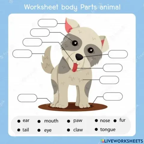 Body Parts of Animals